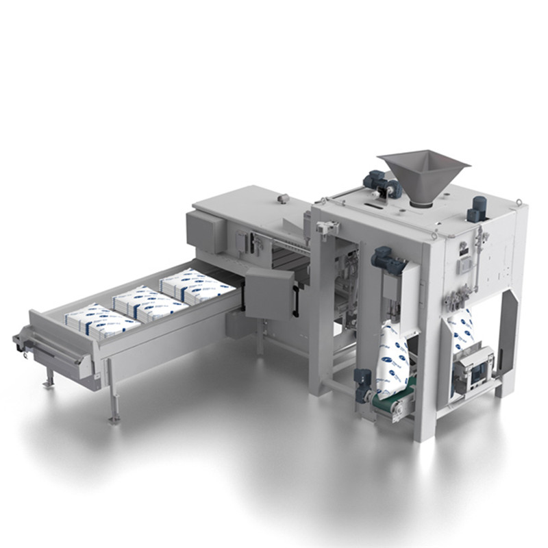 Automatic Bagging Machine CAD_PTK1700